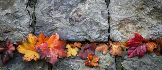 Poster - Autumn foliage atop a stone surface with copy space image.