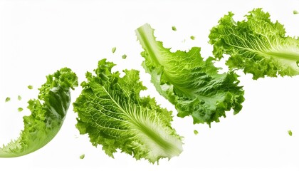 Wall Mural - levitation of green lettuce leaves isolated on transparent background png