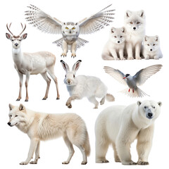 Poster - White animal png element set, transparent background