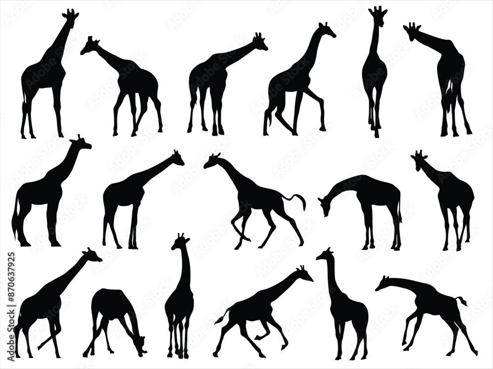 Giraffe Vector Illustration Set, Black and White Silhouettes ...