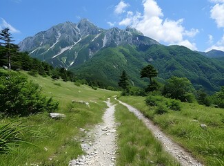 Canvas Print - mountain path in the valley of Kamikochi