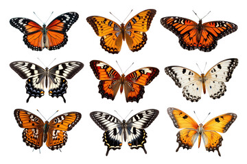 Poster - Butterfly animal png element set, transparent background