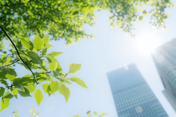 Wall Mural - A leafy tree with a bright blue sky in the background