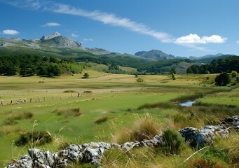 Canvas Print - mountain field under blue sky