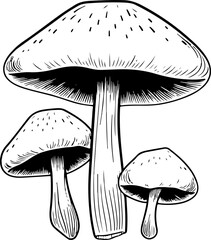 Mushroom drawing clipart design illustration