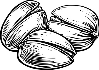 Hand drawn pistachio clipart design illustration