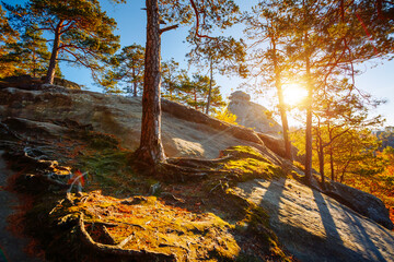 Wall Mural - Fantastic view of cliffs surrounded by autumn forest. Dovbush Rocks, Carpathian mountains, Ukraine, Europe.