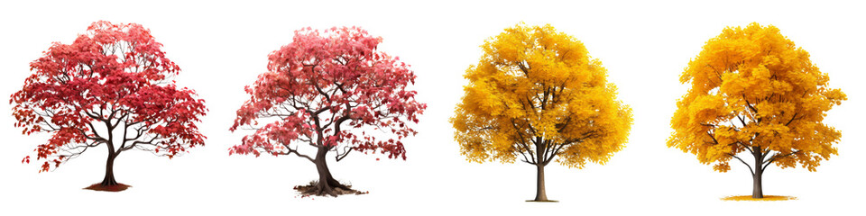 Wall Mural - Collection of autumn trees isolated on transparent or white background 