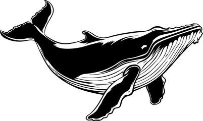 Wall Mural - Whale drawing clipart design illustration