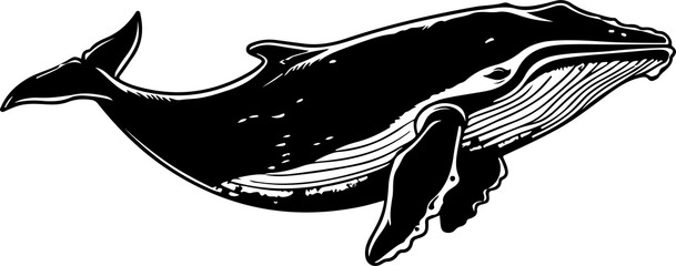 Wall Mural - Whale drawing clipart design illustration