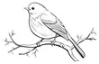 © Rawpixel.com - PNG Bird outline sketch drawing animal illustrated.