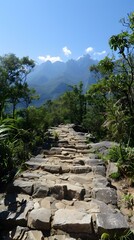 Wall Mural - Rocky Steps to the Mountains