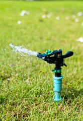 Wall Mural - Sprinkler for automatic lawn watering. Lawn cultivation and care, garden irrigation devices. Rainbow over the garden on a sunny day.