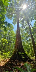 Sticker - Sunlight Through the Rainforest Canopy