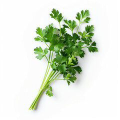 Fresh parsley sprig with vibrant green leaves isolated on a white background, showcasing its freshness and texture. Perfect for culinary use and herbal applications.