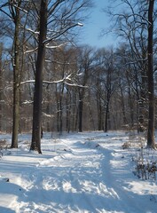 Canvas Print - The snow-covered forest