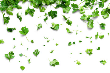 Wall Mural - Fresh Parsley Leaves Scattered Pattern