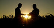 © StockMediaSeller - Confident handshake between two men with a sunset and cornfield backdrop