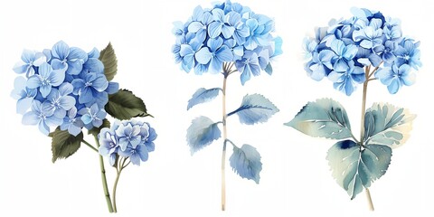 Wall Mural - Three blue flowers with green leaves. The flowers are in different sizes and are arranged in a row