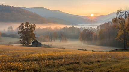 Sticker - Rural field with yellow wildflowers and a barn in the distance