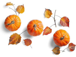 Wall Mural - Autumn Pumpkins and Leaves on Transparent Background