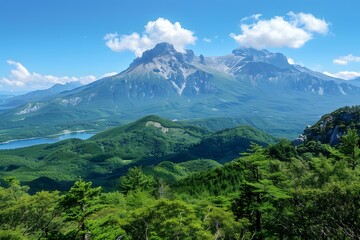 Poster - Scenic View of Mountain Range and Lush Green Forest