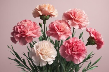 Wall Mural - Bunch of carnations bouquet on soft pink background creating delicate and romantic image