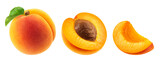 Set of whole apricot, half and slice of apricot isolated on a transparent background.