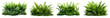 © Chadys - realistic bush of broadleaf ferns and grasses isolated on transparent or white background