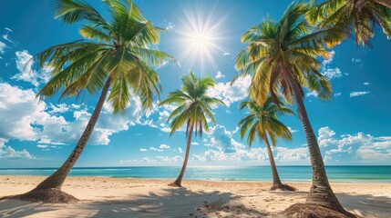 Wall Mural - beautiful tropical beach with tall palm trees, white sandy shore, and clear blue sky under the shini