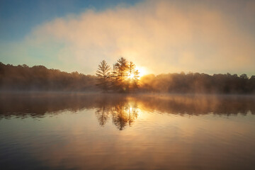 Wall Mural - sunrise through pine trees fog sunburst and a loon on a northern minnesota lake during summer