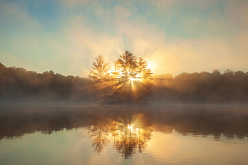Wall Mural - sunrise through pine trees fog and a sunburst on a northern minnesota lake during summer