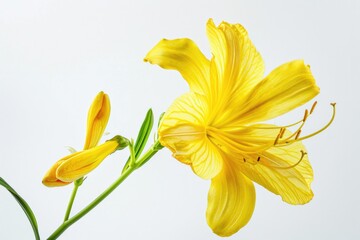 Aufkleber - A bright yellow flower sits proudly in a decorative vase, perfect for interior designs or everyday use