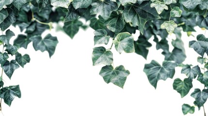 Poster - A close-up shot of a cluster of green leaves, suitable for use in nature or environmental-themed projects