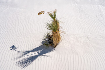 White Sands National Park, New Mexico