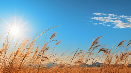 Canvas Print - landscape scorching sun