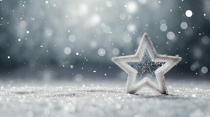 Wall Mural - stilllife silver glitter star