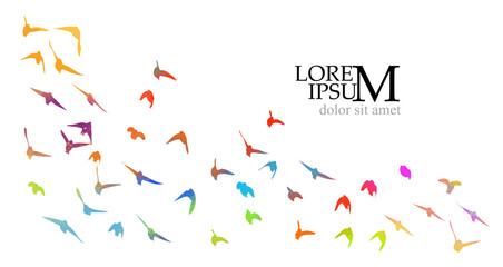 Wall Mural - Colored birds. A flock of flying rainbow birds. Not AI, Vector illustration.