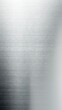 © Leli - A high-resolution image of a brushed stainless steel texture on a white background