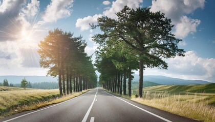 Wall Mural - road trees summer 