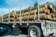 © Tessy Morelli/Stocksy - Truck full load of wood lumber
