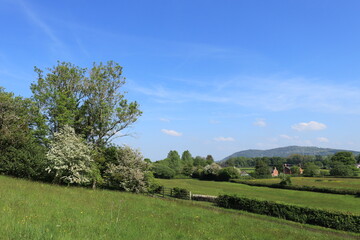 Wall Mural - Summertime scenery in the English countryside.