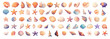 © ssstocker - Cartoon sea shell set. Ocean marine tropical seashell for aquarium, starfish mollusks oyster clam vector illustration
