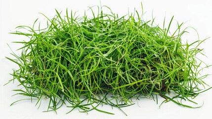 Poster - A close-up shot of a pile of fresh green grass on a clean white surface