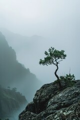 Aufkleber - A single tree stands at the top of a mountain