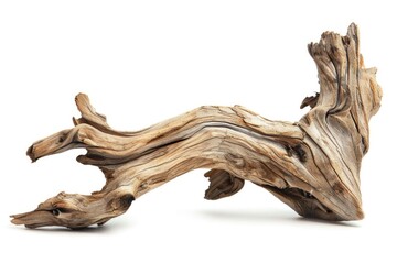 Poster - A piece of driftwood on a clean white surface, ideal for backgrounds and design elements
