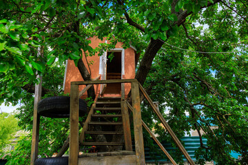 Wall Mural - A tree house with a wooden staircase and a tire ladder