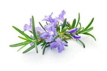Poster - A bouquet of vibrant purple flowers sits atop a clean white surface, ready for display or arrangement