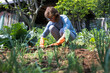 © Simone Wave/Stocksy - Senior woman planting zuchini plant