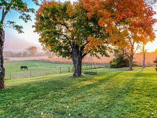 Fall sunset looking over horse pasture 